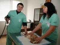 С апаратура от последно поколение работят вече специалистите във Ветеринарна клиника „ИДА-ВЕТ”