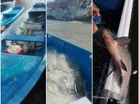 Инспектори от ИАРА – Плевен спипаха рибар в забранен участък на река Дунав