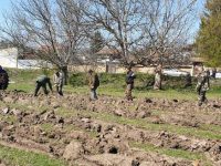 Община Плевен отбелязва Седмицата на гората със засаждане на медоносни фиданки