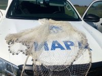 Проверки на ИАРА в Плевенско след влизане в сила на забраната за риболов