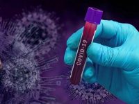 1086 новозаразени в страната с коронавирус, в област Плевен – 70 положителни проби