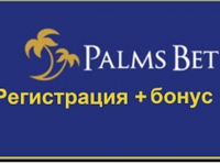 Какво да очакваме след нова регистрация в PalmsBet?