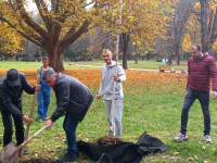 В парк „Кайлъка“ се проведе акция по засаждане на широколистни дървета
