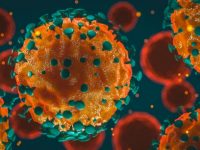 Коронавирус: Над 400 са новозаразените в област Плевен