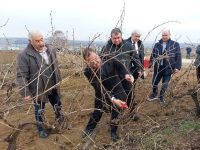 Руският посланик и министърът на земеделието участваха днес в традиционния ритуал по зарязване на лозята на ИЛВ в Плевен – снимки