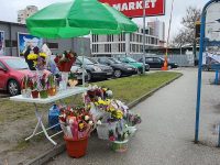 В Плевен днес и утре продават цветя за Осми март за набиране на средства за лечението на Сузи