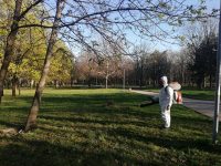 Започна обработката на публичните зелени площи в Плевен срещу кърлежи и бълхи