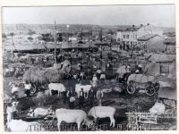 Тържищата в Плевен в края на XIX и началото на XX век