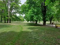 В парк Кайлъка започна второто косене на тревните площи
