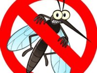 От днес започва повторна обработка срещу комари