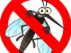 Повторна обработка срещу комари ще се извърши следващата седмица