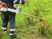 От 25 юли до 7 август се забранява косенето на трева и машинното почистване в постоянно затревените площи и обработваемите земи