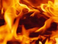 Пожар в цех за пелети в село Каменец