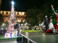 На 1 декември ще грейнат светлините на Коледната елха в Плевен