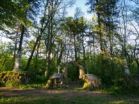 Екипът на РИОСВ-Плевен ще почисти Скобелевия парк в събота