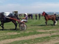 Днес се проведоха традиционните състезания с коне по случай Тодоровден в Гулянци – снимки