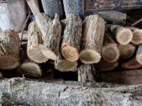 Незаконна дървесина намериха отново в две плевенски села