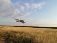 Със самолет ръсят срещу ларви на комари на територията на община Гулянци. Вижте кога и къде!