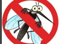 Второ допълнително третиране срещу комари – тази вечер в Плевен!