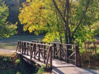 Разходка в цветовете на есента в парк Кайлъка – фотогалерия
