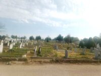 Допълнителни електробуси ще пътуват до гробищните паркове за Архангелова Задушница