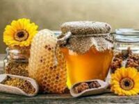 Базар на пчелните продукти ще се проведе в Плевен от 23 до 26 ноември