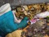 Община Долни Дъбник с призив за по-отговорно отношение при изхвърлянето на отпадъците