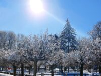 Времето: облачно, максималните температури ще са около и малко над 0°