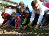 Училища и кметства в област Плевен могат да кандидатстват с проекти за „Чиста околна среда“