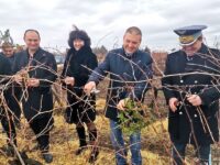 Институтът по лозарство и винарство в Плевен празнува с приятели Трифон Зарезан – снимки