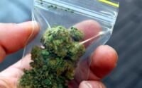 При проверка: Младеж доброволно предаде плик с марихуана в Търнене