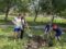 Пролетно почистване, 25 нови дръвчета и освежени алеи в Долни Дъбник – снимки