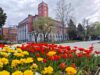 Хиляди лалета и теменуги красят центъра на Плевен – снимки