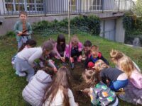 Близо 60 детски градини и училища в Плевен се включиха в Седмицата на гората – снимки