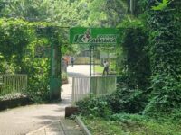 Днес: Инициатива по озеленяване на зоопарк „Кайлъка“