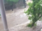 Градушката и проливните дъждове нанесоха щети на канализационната мрежа в Плевен