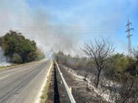 Заради пожар временно е ограничено движението по пътя София – Русе в района на Плевен