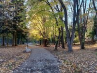 Времето в Плевен: облачно, максималните температури ще са между 8° и 10°